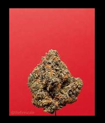 Photograph of Product: Scottie Pippen 1/8 - 3.5g