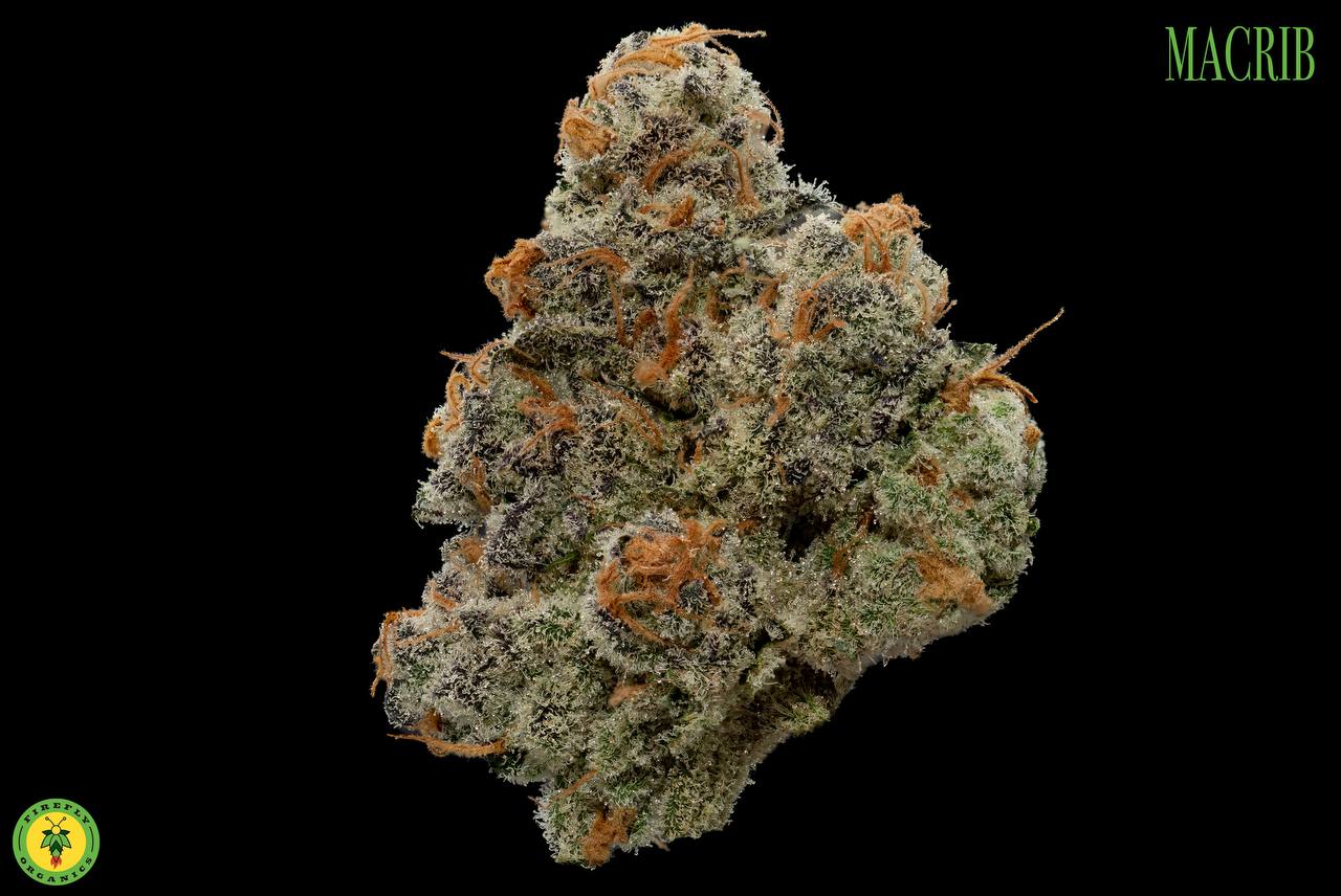 Photograph of product: MacRib - Firefly Organics - Flower) - 3.5g