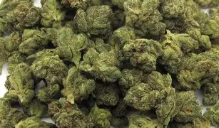 Photograph of product: Popcorn | The Real OG - 28g