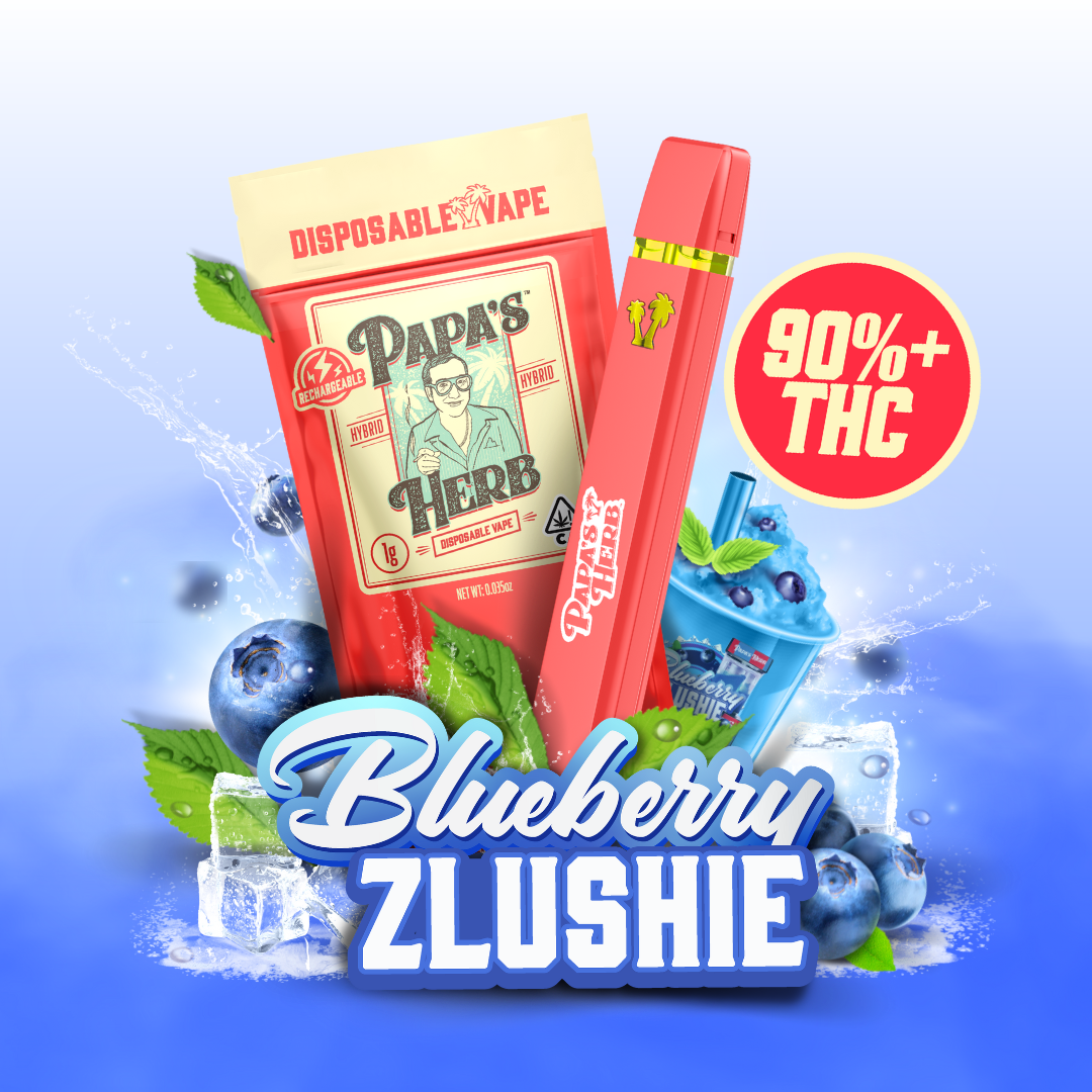 Photograph of product: Blueberry Zlushie | All In One