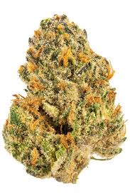 Photograph of product: Flower | Sherb Cocktail #7 | Sour Flower Organics - 28g