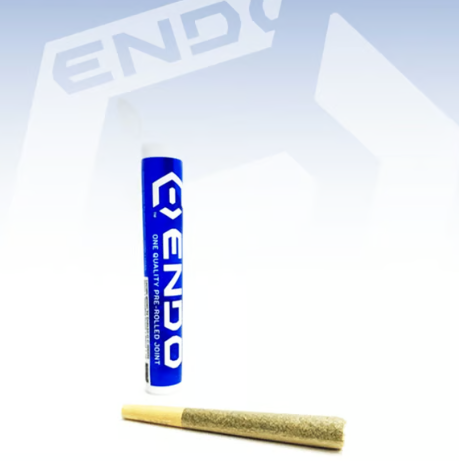 Photograph of product: RS1000 | Endo Oui'd