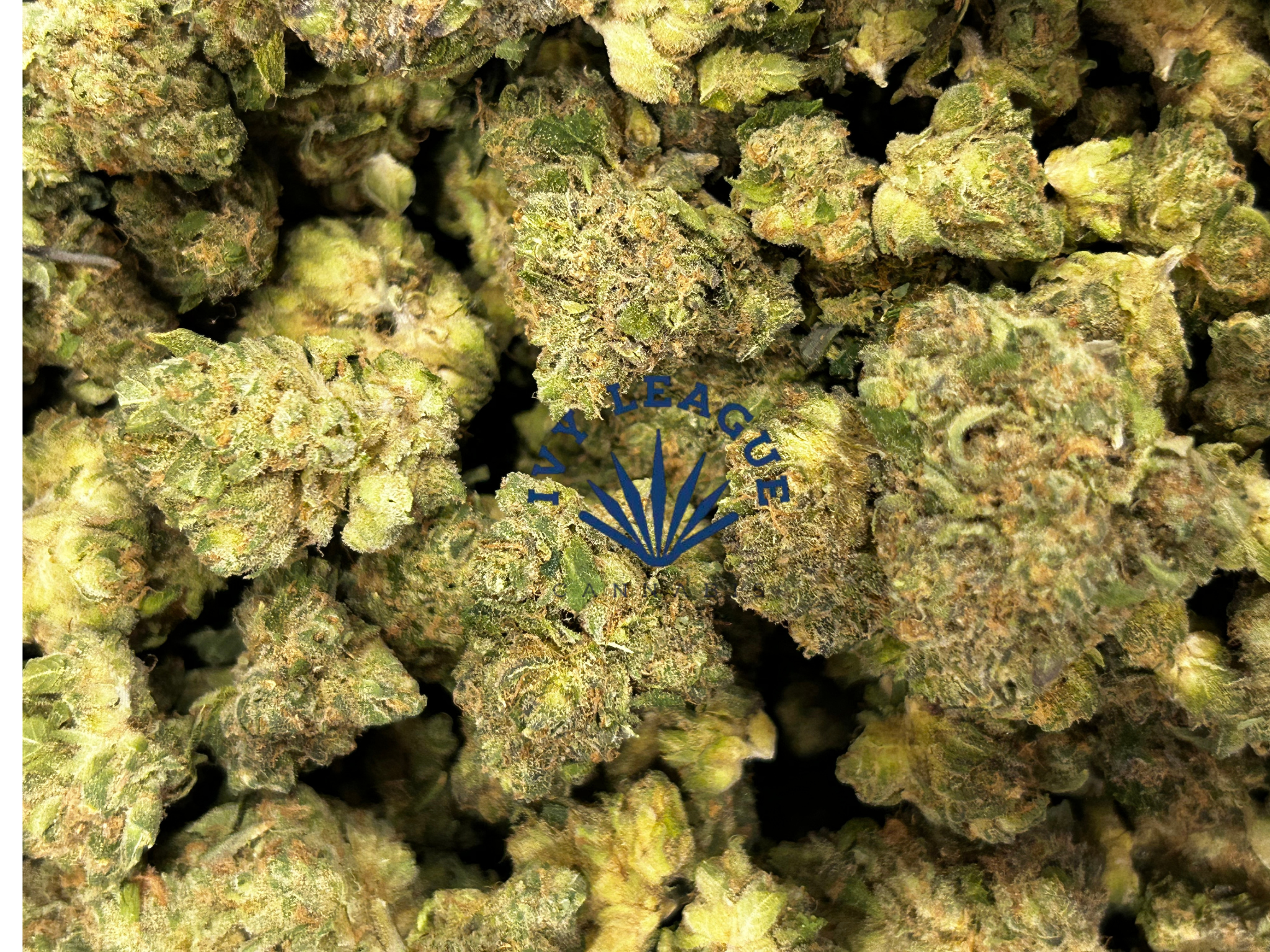 Photograph of product: KAI Oui'd | Superboof | Deli - 28g