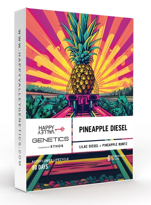 Photograph of product: Happy Valley | Pineapple Diesel | Feminized Auto Flowering Seeds 6 Pack