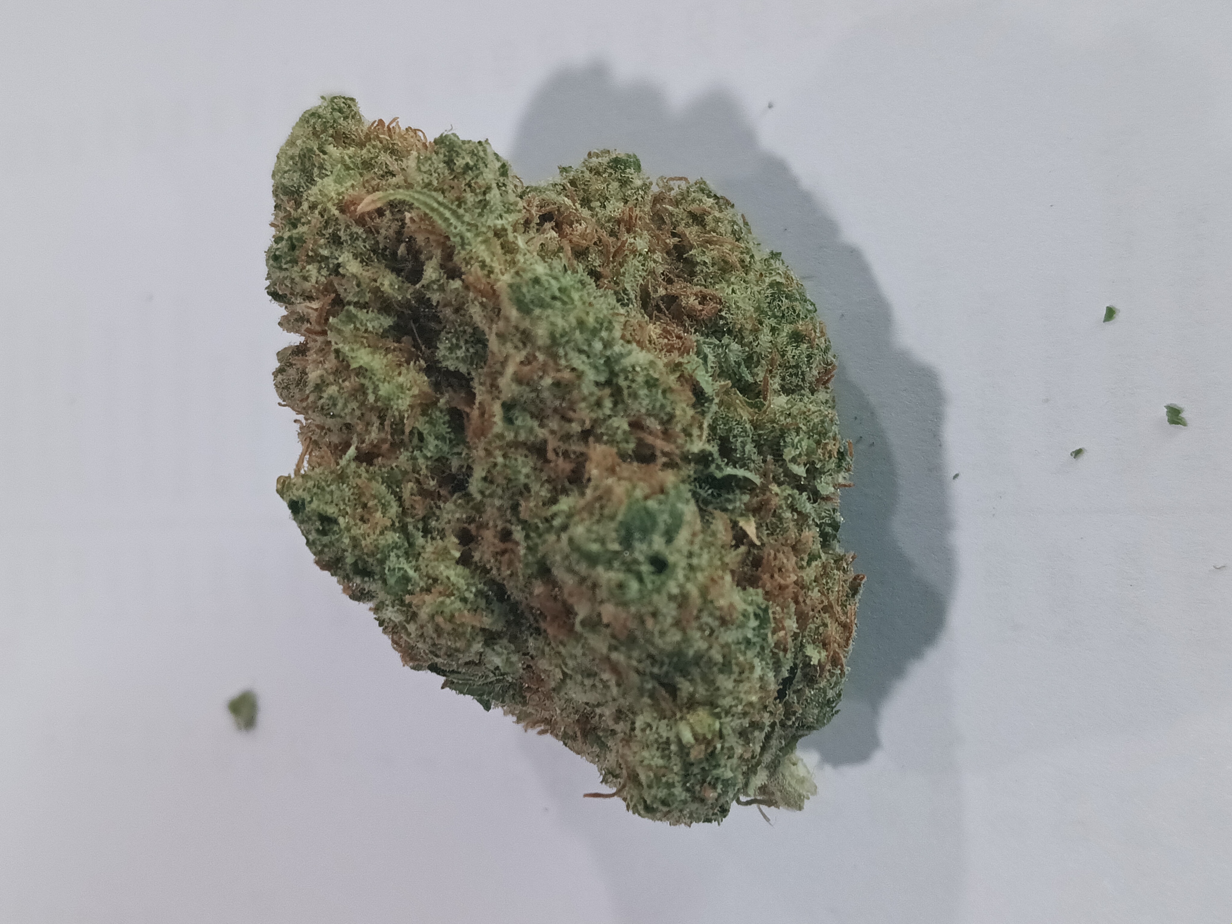 Photograph of product: Gilz Nilz - 28g