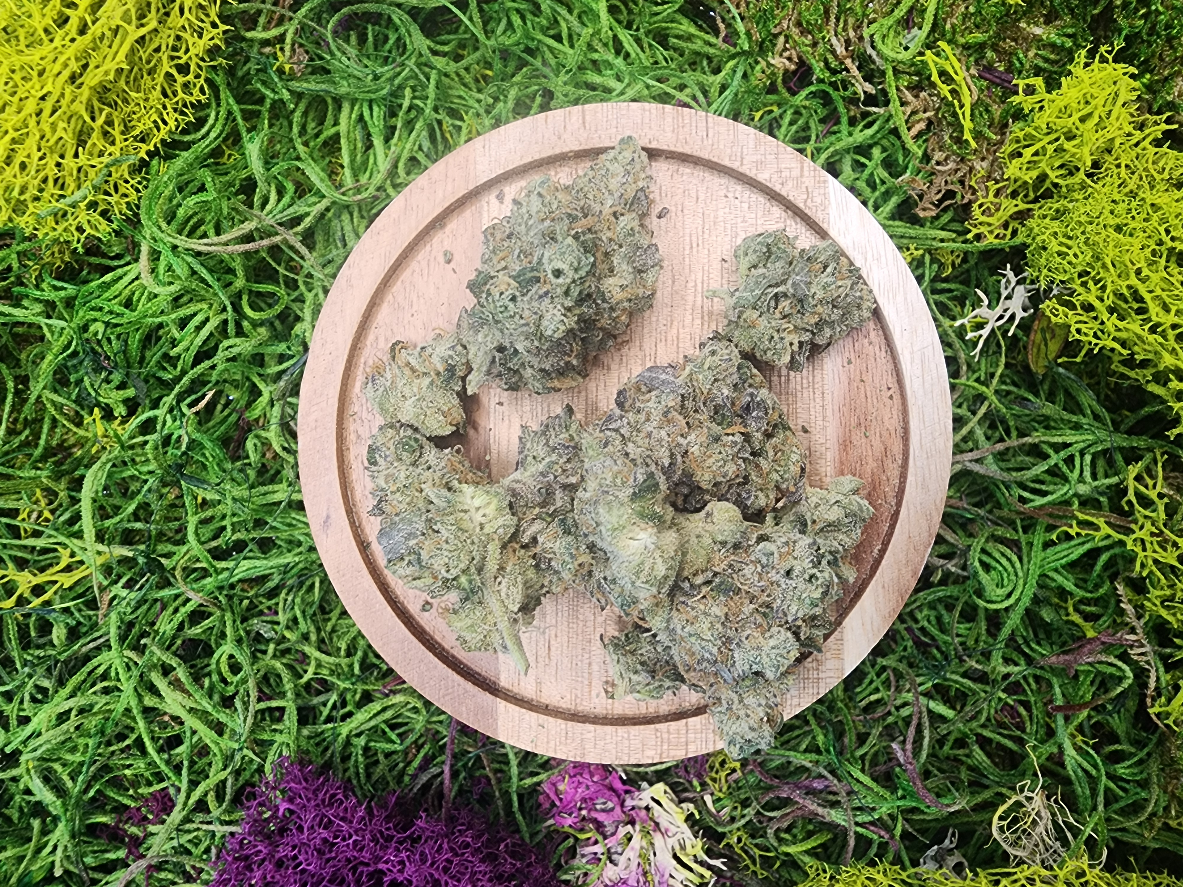 Photograph of product: MSG - 1g