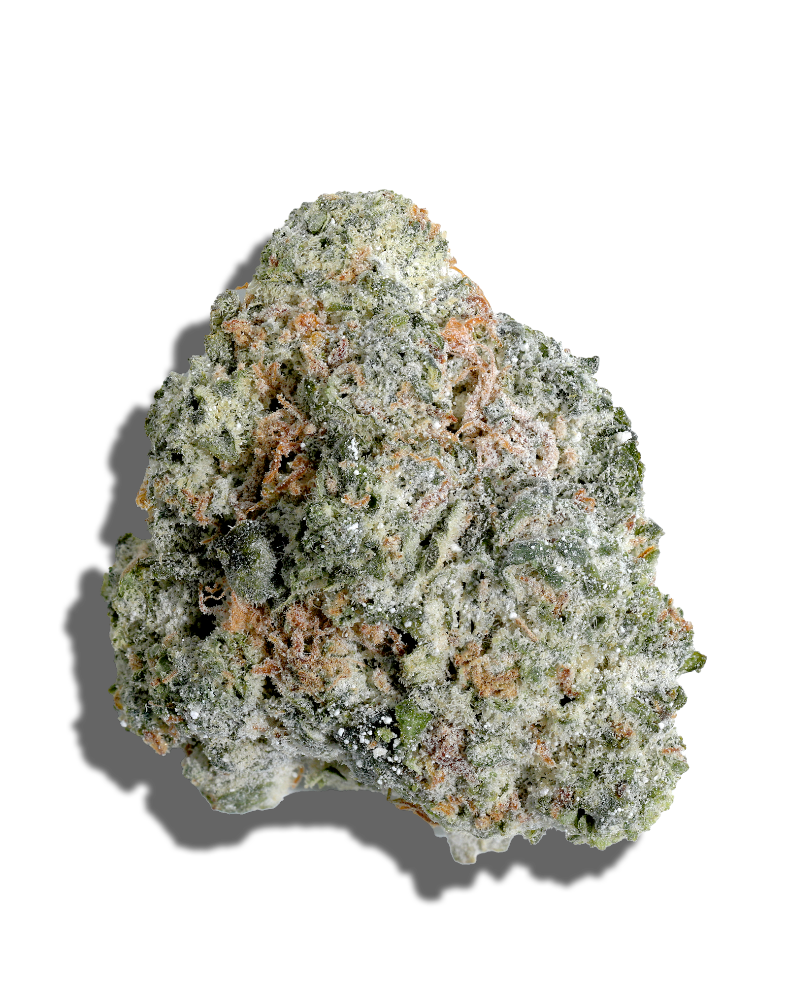 Photograph of product: Bobby Wild X Gelato Amp'd Live Resin Infused Flower 5g