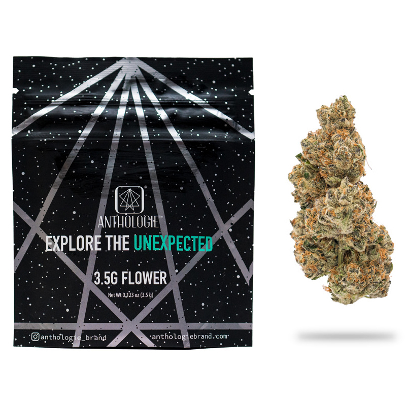 Photograph of product: Anthologie | Flower | Wookie Pie | 3.5g