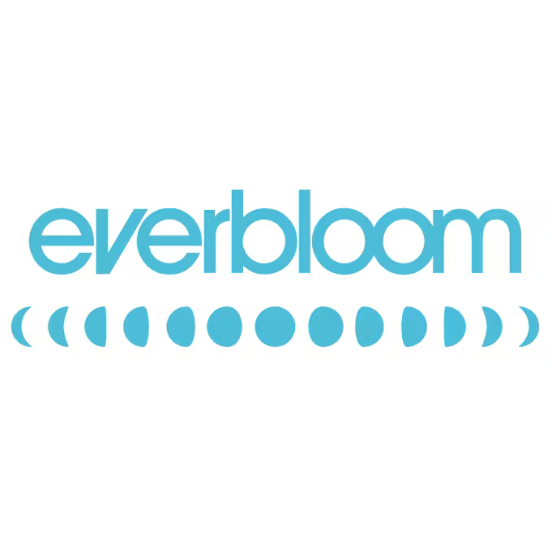 Photograph of product: Everbloom - Rainbow Unicorn 2pk Cones