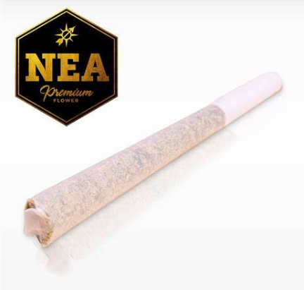 Photograph of product: Mandarin Cookies NEA Awarded