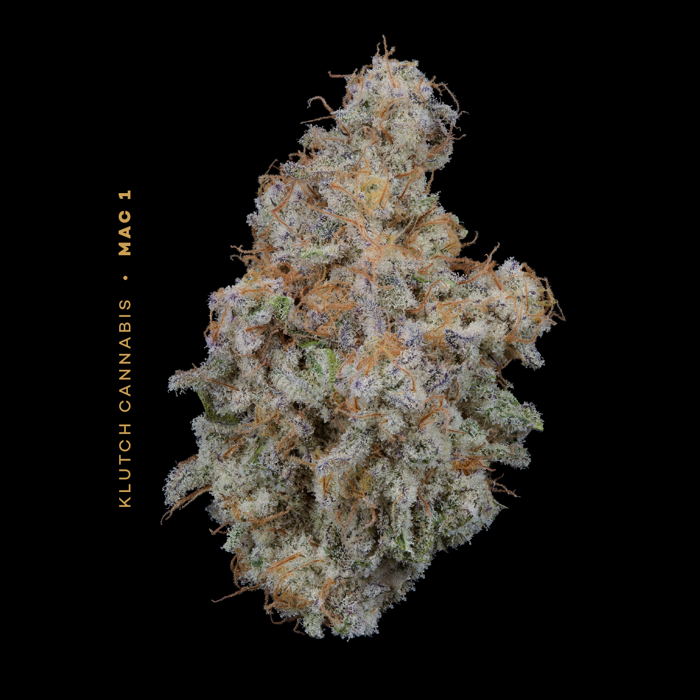 Photograph of product: | MAC 1 | - 2.83g