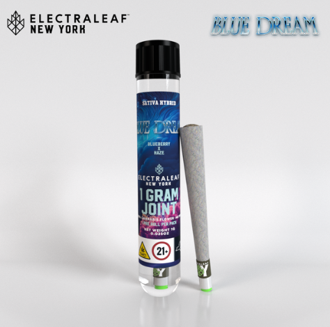 Photograph of product: Blue Dream | 1g Pre-roll Indoor