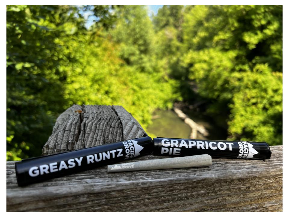 Photograph of product: Preroll - TF - Pacific Grove - 1g - Blood Bath #2