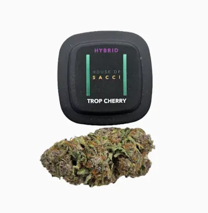 Photograph of product: House of Sacci | Flower | Trop Cherry - 3.5g
