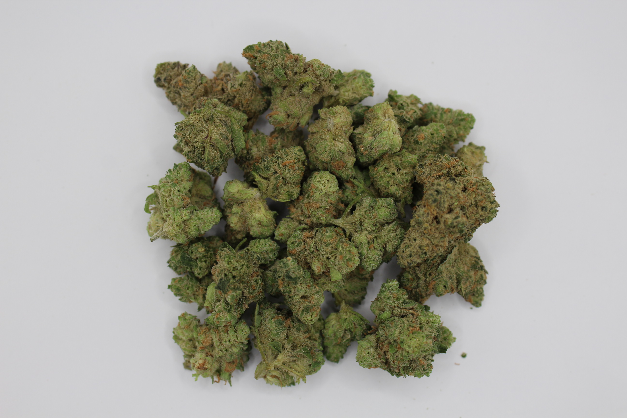 Photograph of product: Blue Dream B-Bud 7g