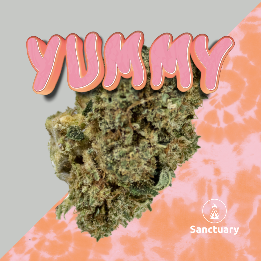 Photograph of product: Yummy 3.5g Small Bud