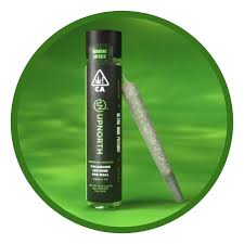 Photograph of product: SKUNK #1 1G INFUSED PREROLL