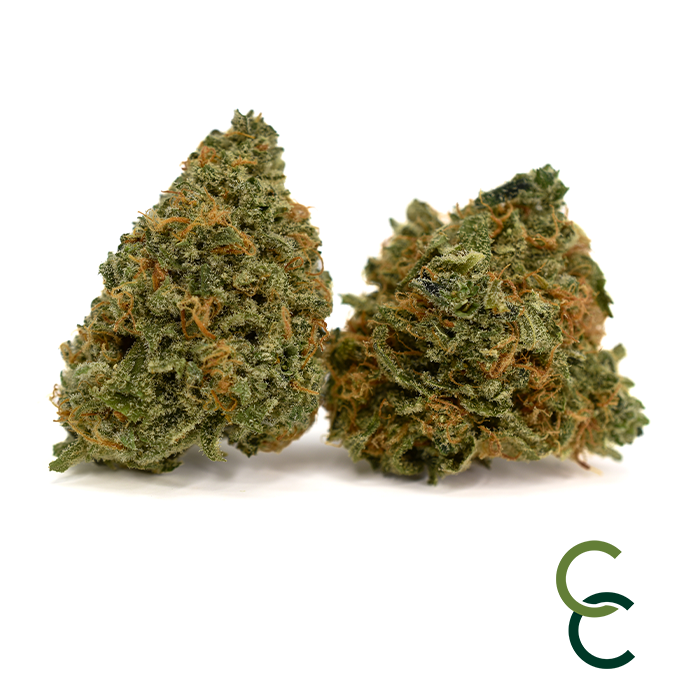 Photograph of product: Blueberry au chocolatplant - 14g