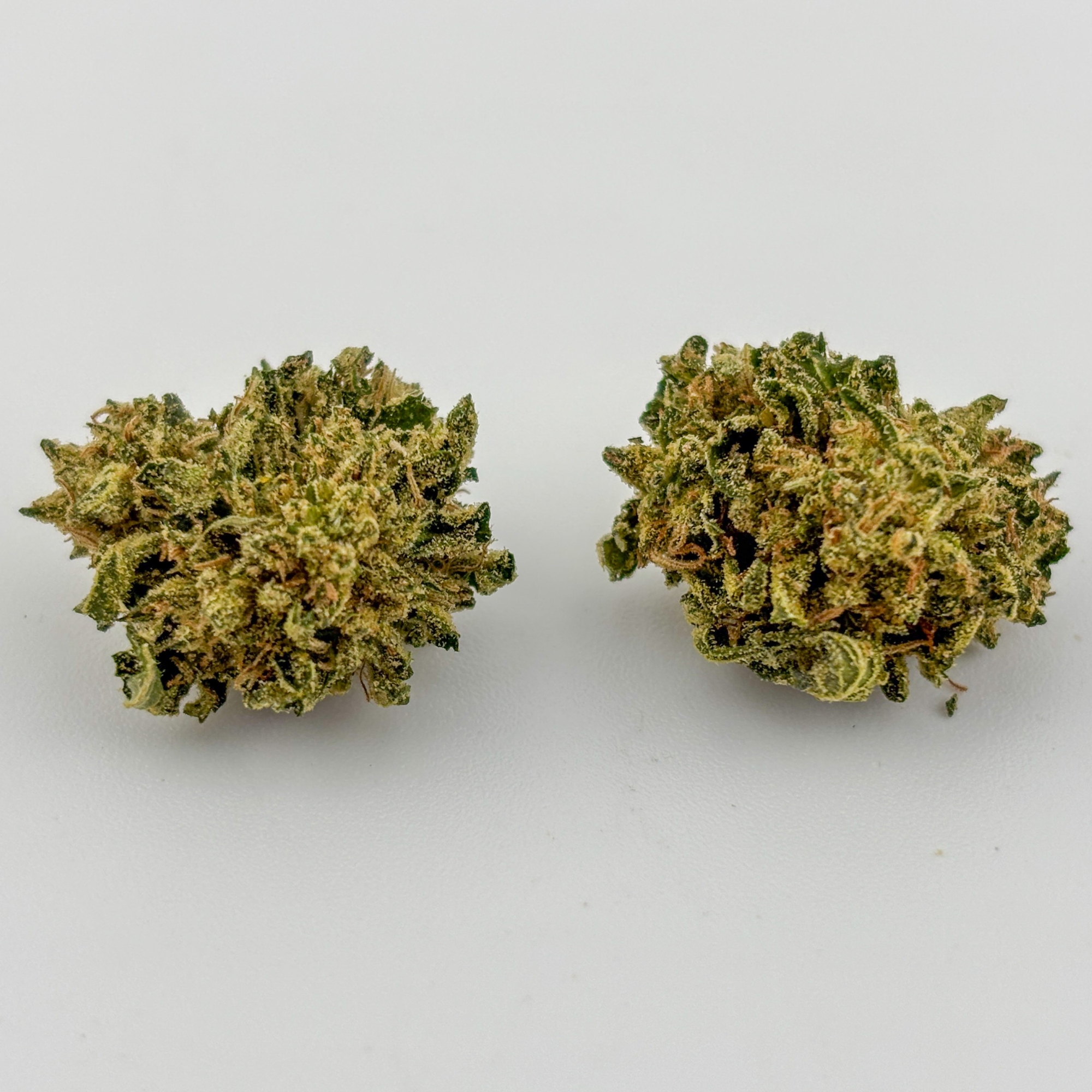 Photograph of product: Alta Gardens | Flower (B-Buds) [S] | 10 Gs