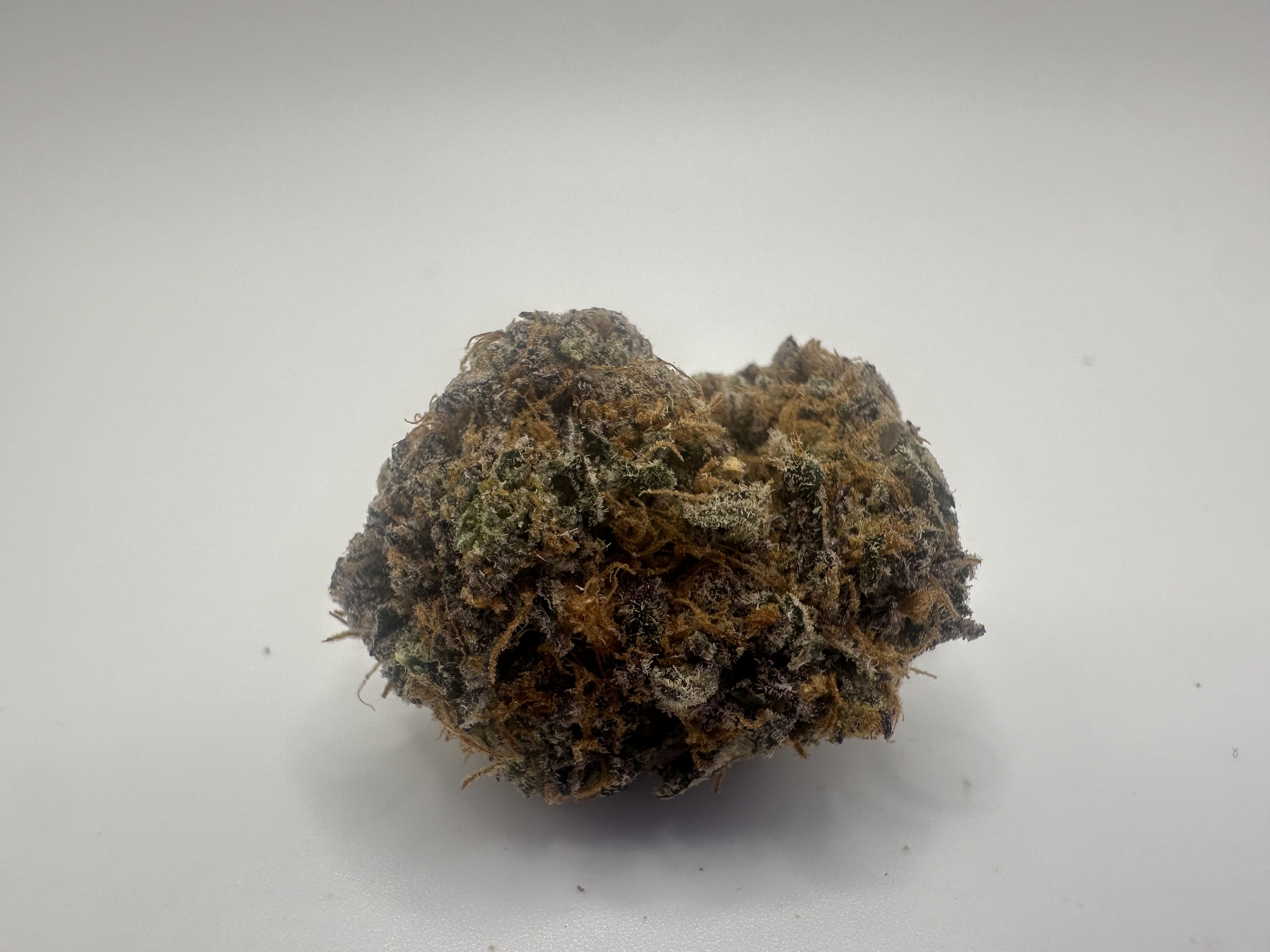 Photograph of product: Sugar Puss - Indoor - Pre-Packs - 28g