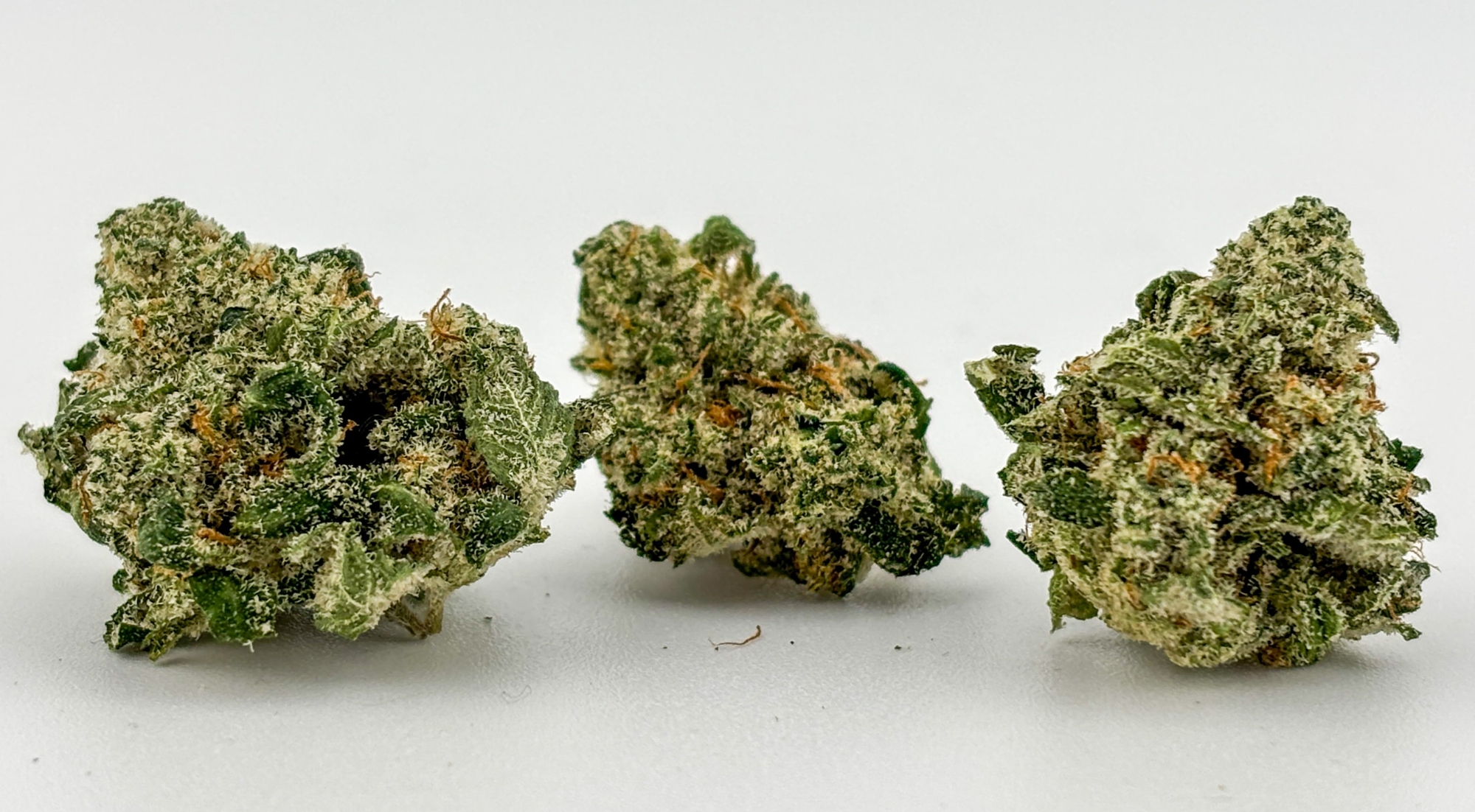 Photograph of product: High Noon | Flower (B-Buds) [H] | Lemon G x Dosido (2523)
