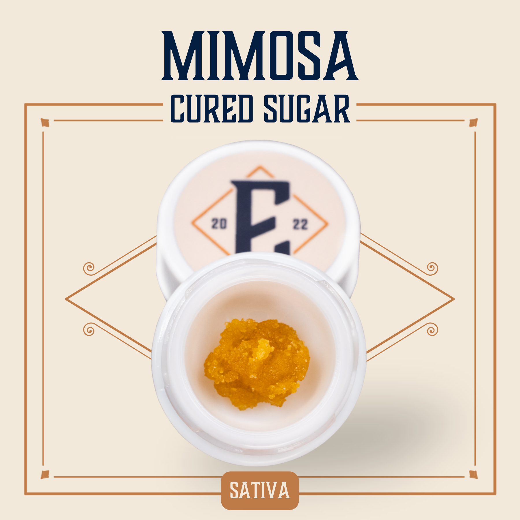 Photograph of Product: Elevate: Concentrate | Mimosa | Cured Sugar | 1g