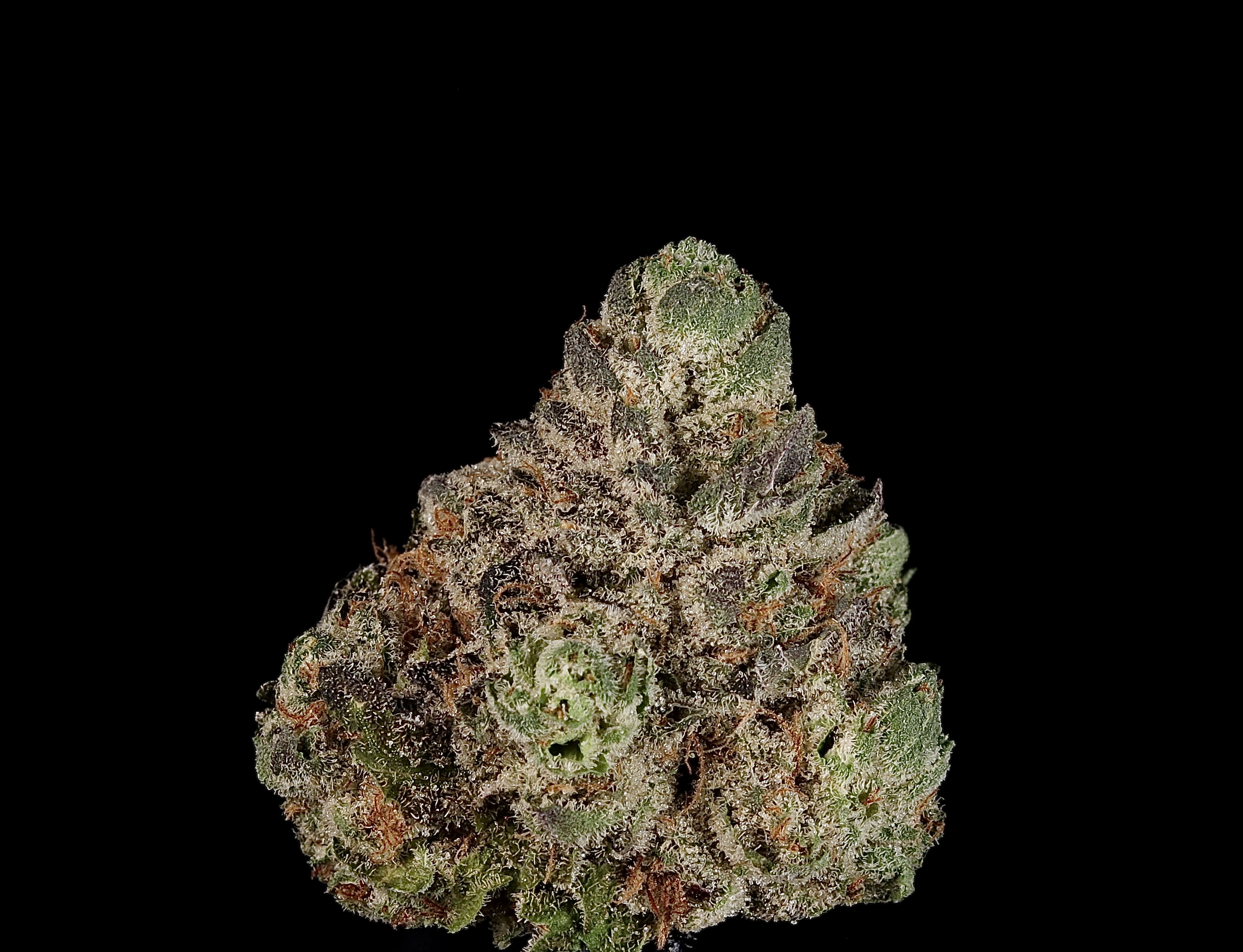 Photograph of Product: Caramel GMO - Landrace Cannabis Co. - 28g