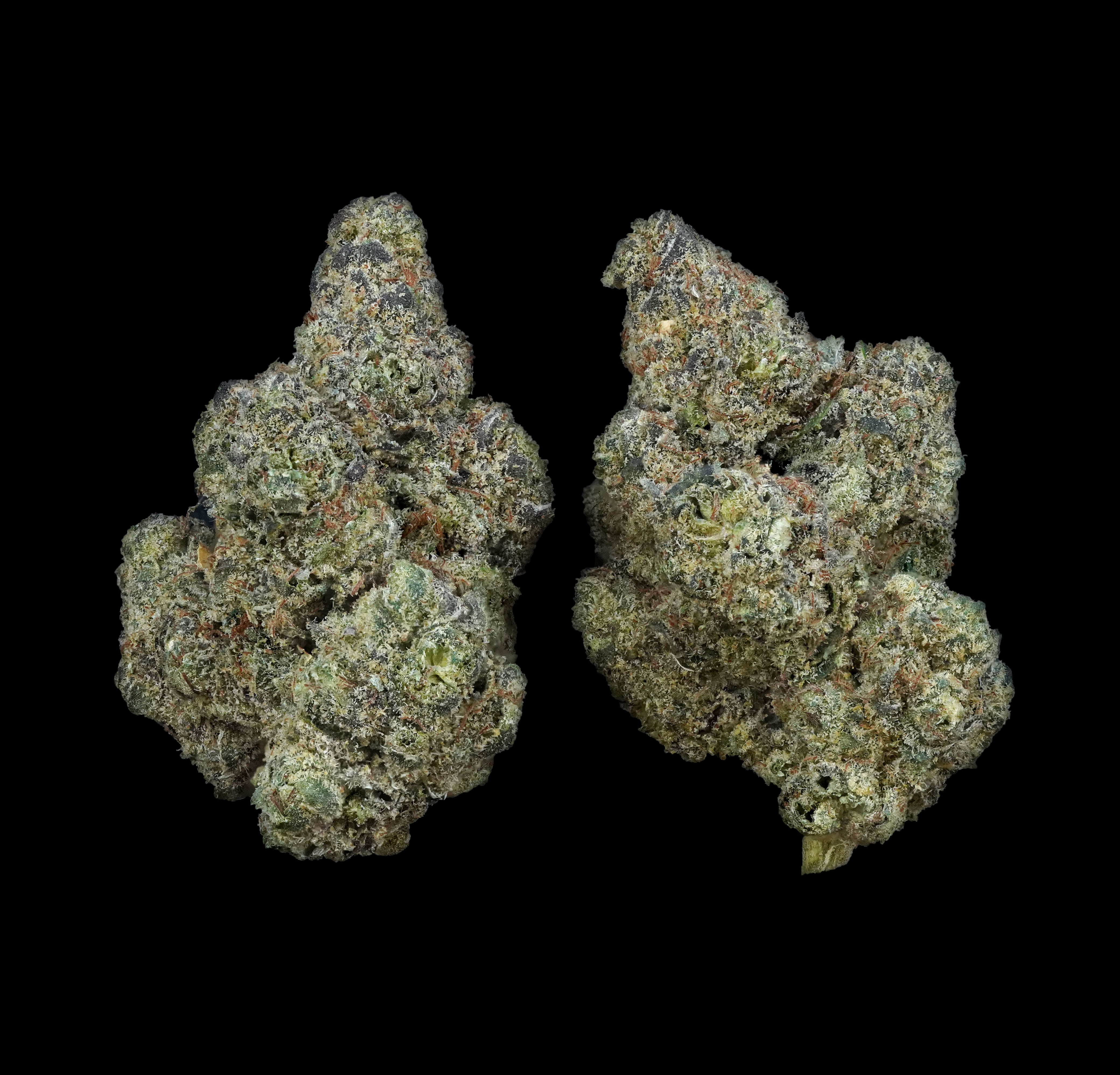 Photograph of product: (BULK) Royal Runtz - Hybrid - 28g