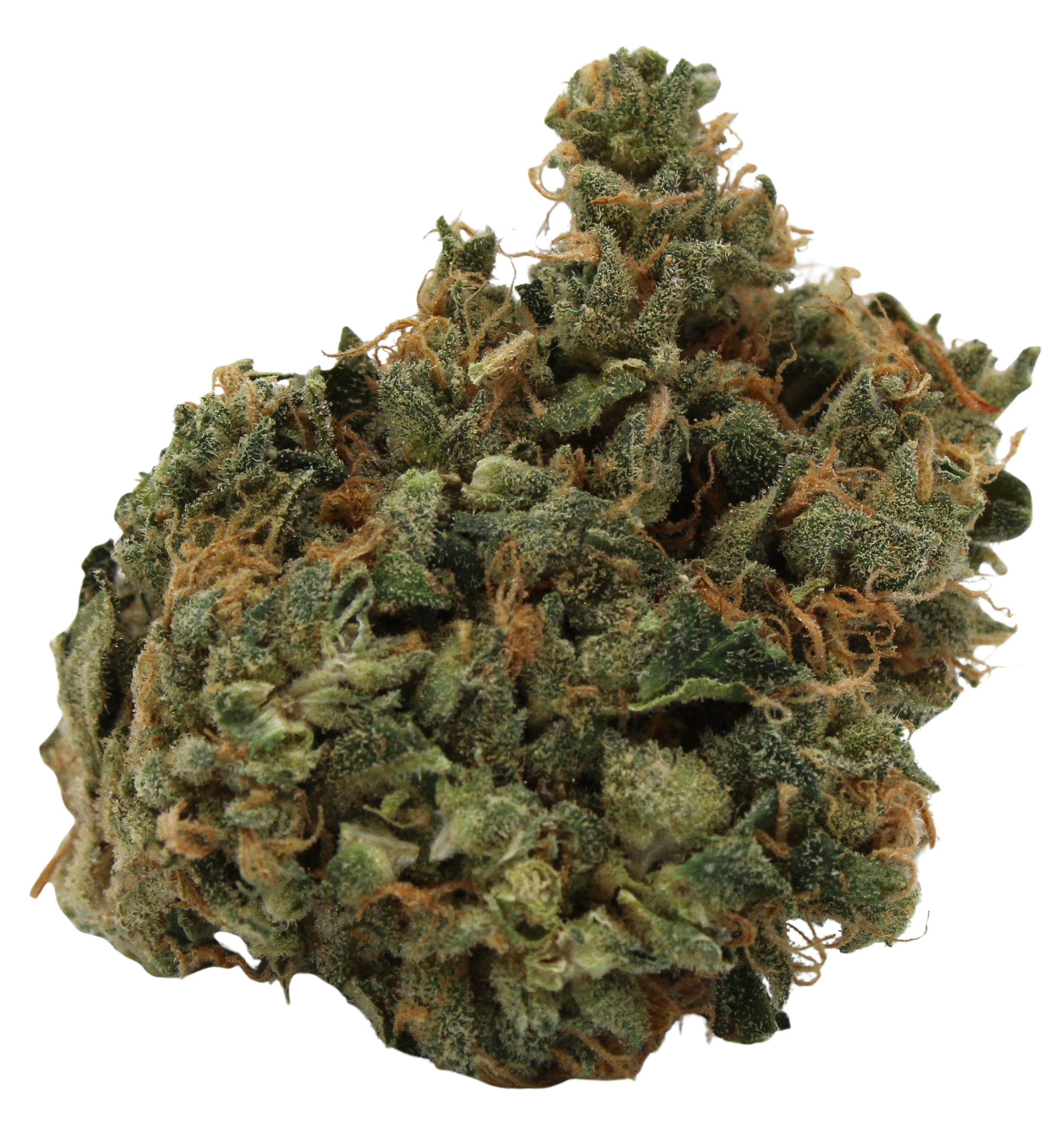 Photograph of product: Killer Bees - 28g