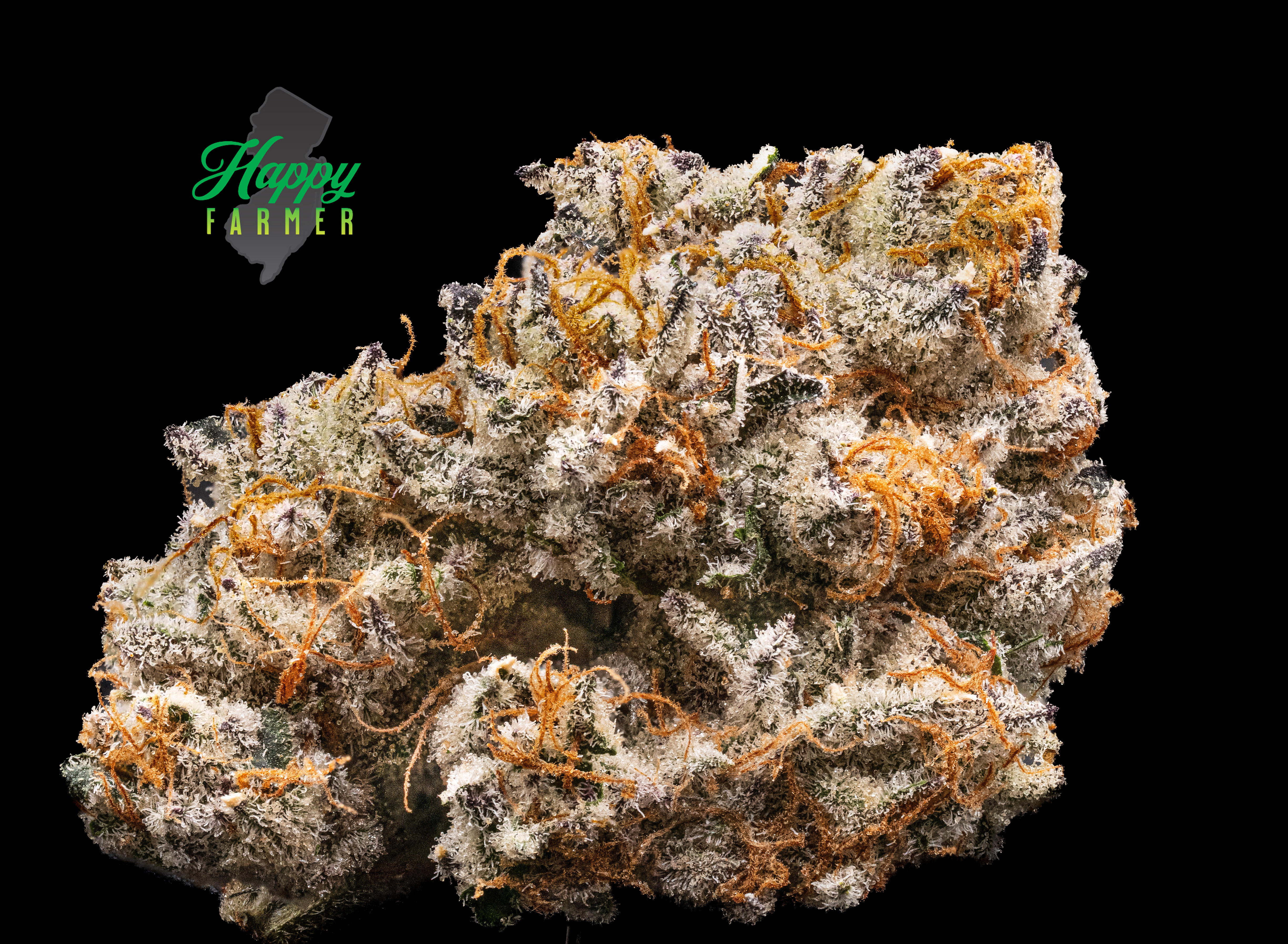 Photograph of product: The Happy Farmer Premium Indoor | Pink Runtz | 3.5g (Oui'd)