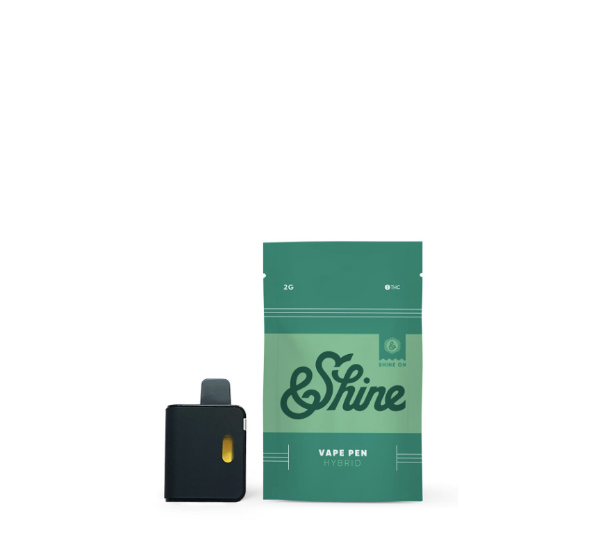 Photograph of product: &Shine Apple Fritter 2g Disposable