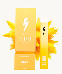 Photograph of product: Bostica | Disposable | Georgia Pie