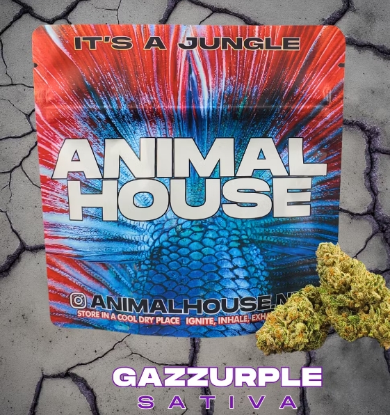 Photograph of product: Animal House Whole Flower | 3.5g | Gazzurple