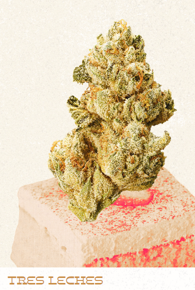 Photograph of product: Tres Leches - 3.5g