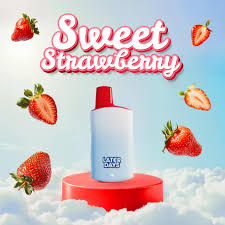 Photograph of product: Later Days | 2g Disposable Vape | Sweet Strawberry