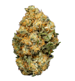 Photograph of product: Root & Bloom Sherbie Hancock 7g Preground