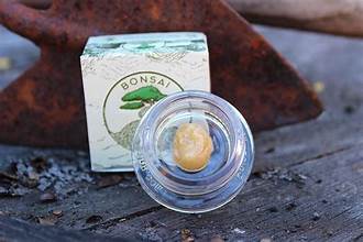 Photograph of product: Bonsai- Snow Skunk Live Rosin