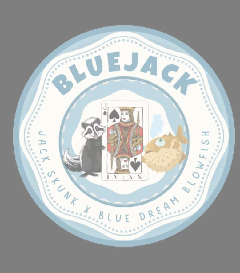 Photograph of Product: Blue Jack 2g Cured Resin