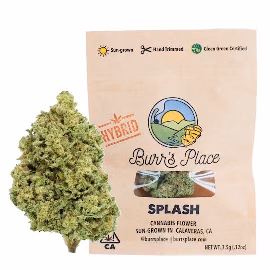 Photograph of product: Burr's Place - Flower - Splash - 7g