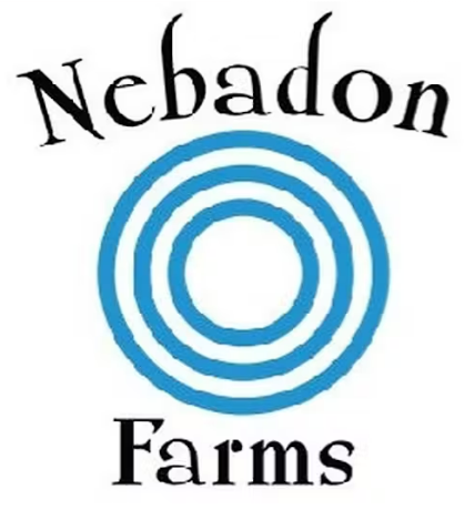 Photograph of product: Nebadon - Lizard Burger - 1g