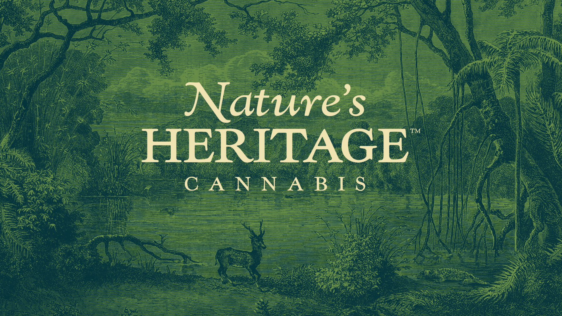 Photograph of Product: Animal Mint Cookies Bubble Hash