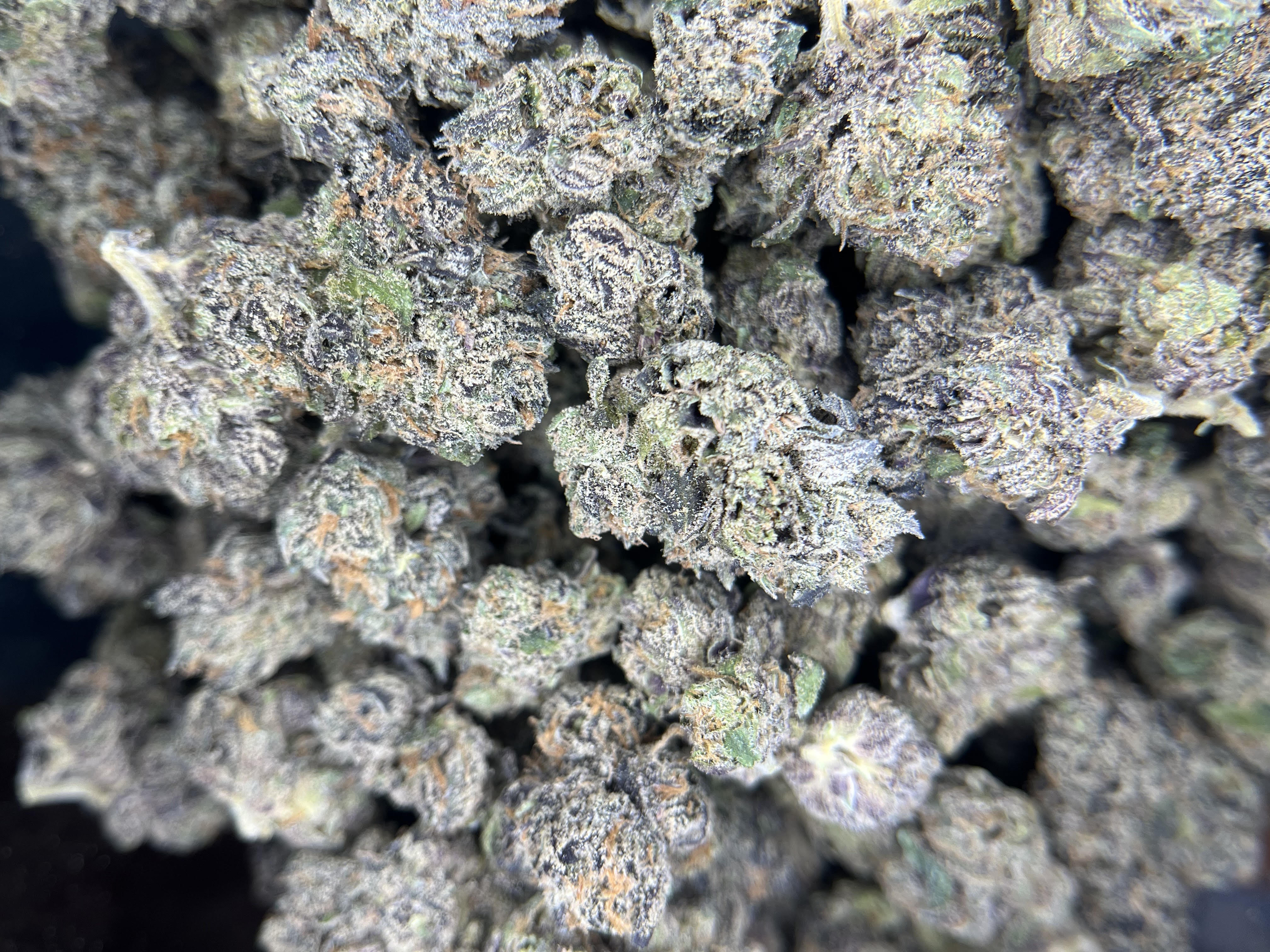 Photograph of product: Lemon Cherry Gelato - 28g