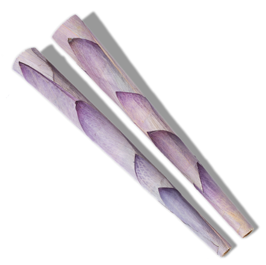 Photograph of product: PETALS - Lotus Cones 2pk - King