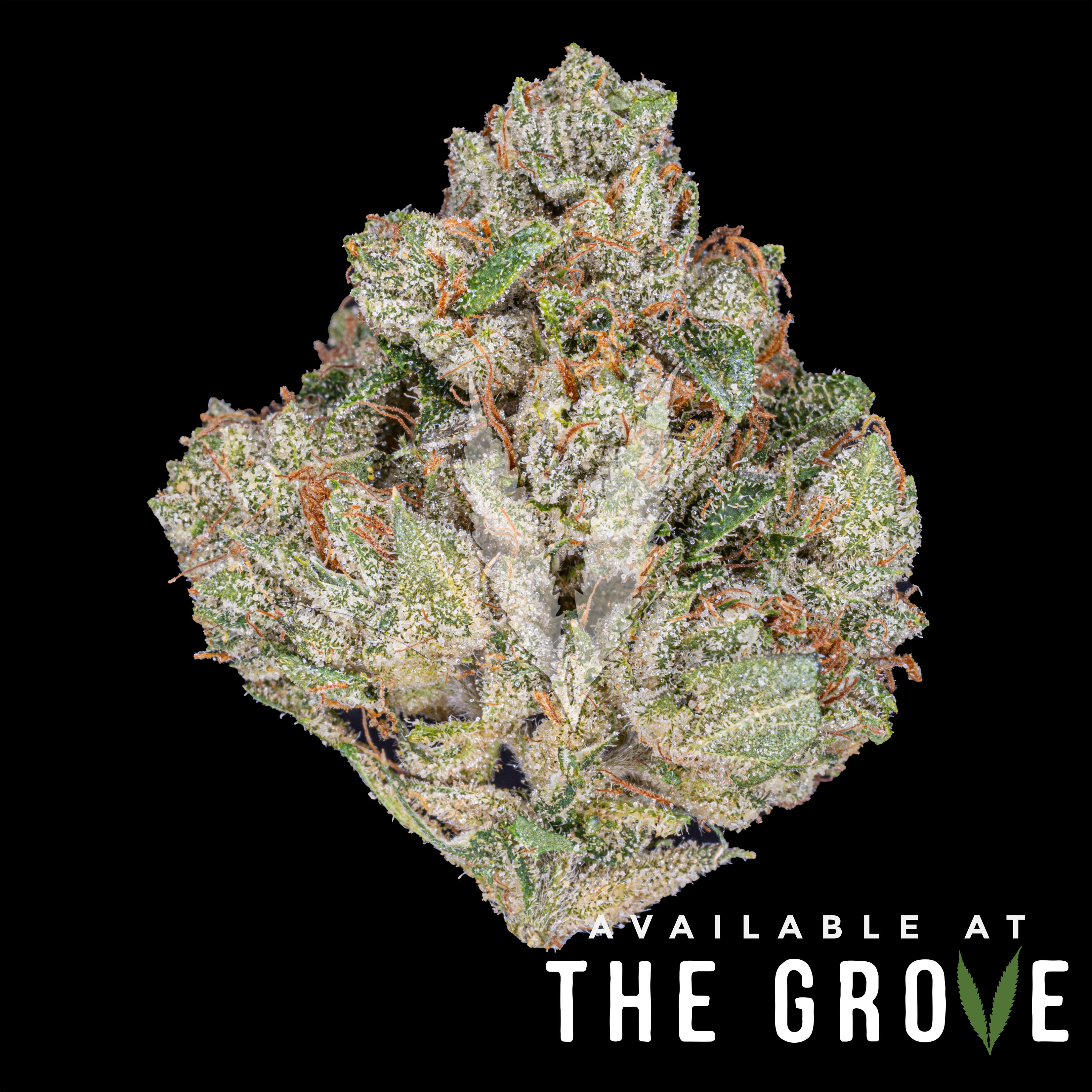 Photograph of product: Traditional | SFV OG 1/8ths - 3.5g