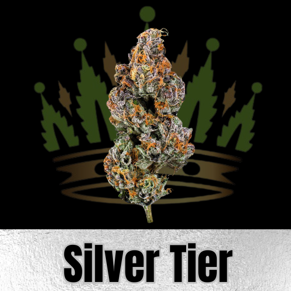 Photograph of product: Silver Tier $69oz - Permanent Marker - 28g