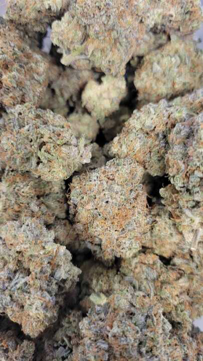 Photograph of product: Mango Mintality (SugarTop)