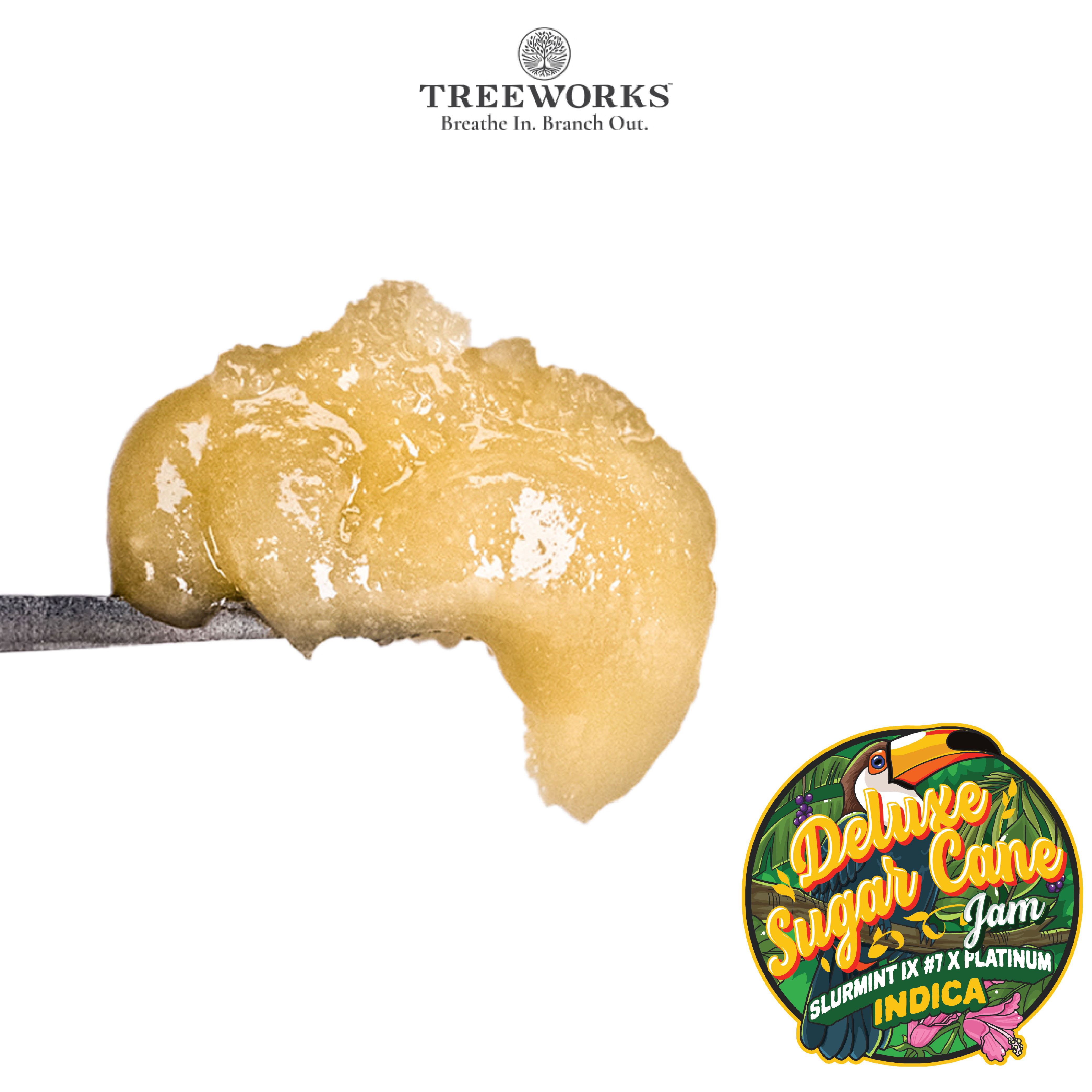 Photograph of product: Deluxe Sugar Cane | Live au chocolat Rosin | 1g