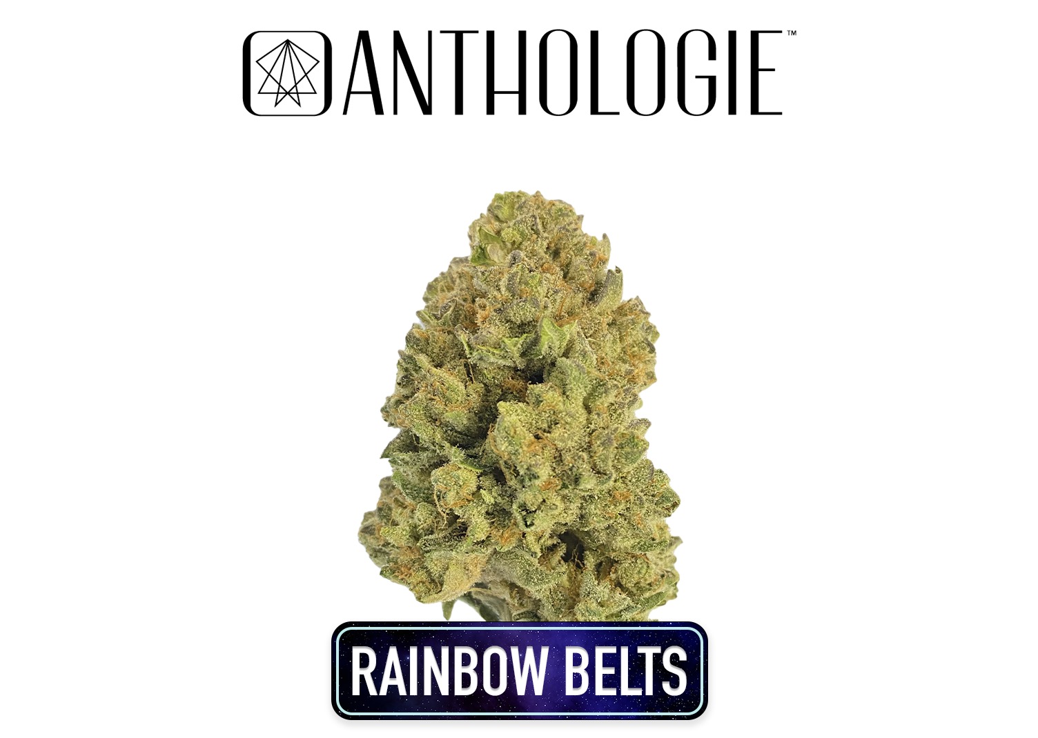 Photograph of product: Anthologie Rainbow Belts 3.0 Flower 3.5g