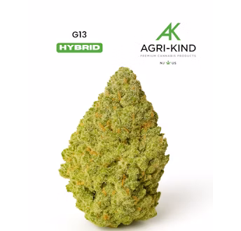 Photograph of product: G13: Flower - 3.5g