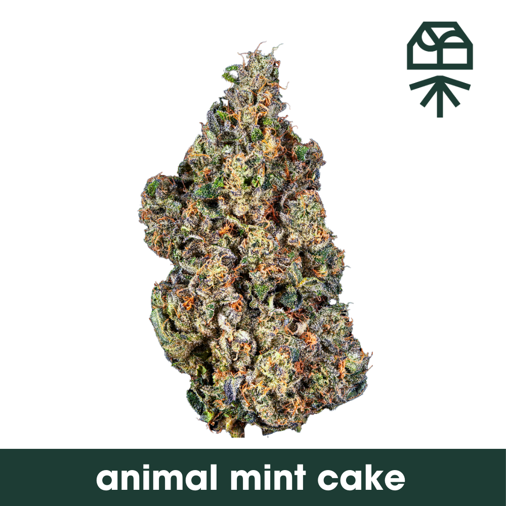 Photograph of product: Animal Mint Cake Smalls 3.5g - Grassroots (Pre-Pack)